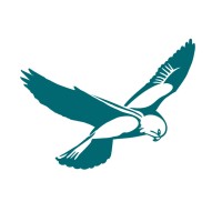 Kestrel Capital Pty Ltd Logo