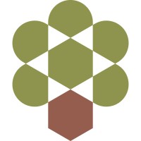 Olive Tree Capital Logo