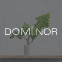 Dominor Investment Logo