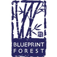 Blueprint Forest Logo