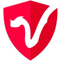 Draper Dragon Logo