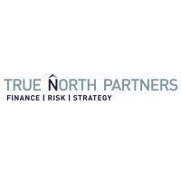 True North Partners Logo