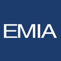 Emerging Markets Investments Logo