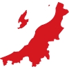 Niigata Venture Capital Logo