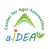 a-IDEA Logo