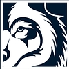 Blue Wolf Capital Partners Logo