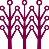 Asia Principal Capital Logo