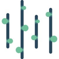 Digital Spring Ventures Logo