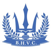Binhai Capital Logo