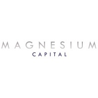 Magnesium Capital Logo