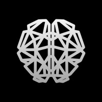 Big Brain Holdings Logo