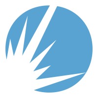 Mesirow Financial Logo
