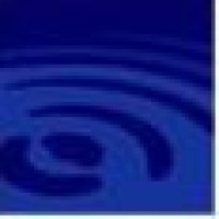 Blue Pool Capital Logo