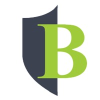 Boutique Venture Partners Logo
