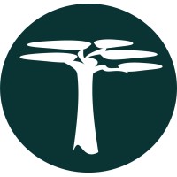Mbuyu Capital Partners Logo