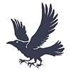 BlackCrow Capital Logo