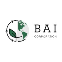 Bild Alternative Investments Corporation Logo