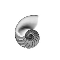 Nautilus Venture Partners Logo