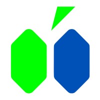 MIRAISE Logo