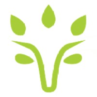 Viridios Capital Logo
