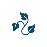 Blue Ivy Ventures Logo