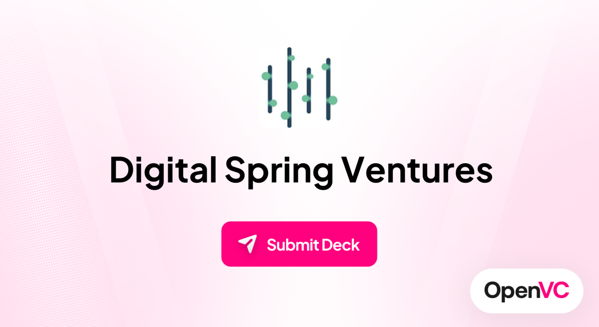 Digital Spring Ventures | Investor Profile, Funding Criteria & Team